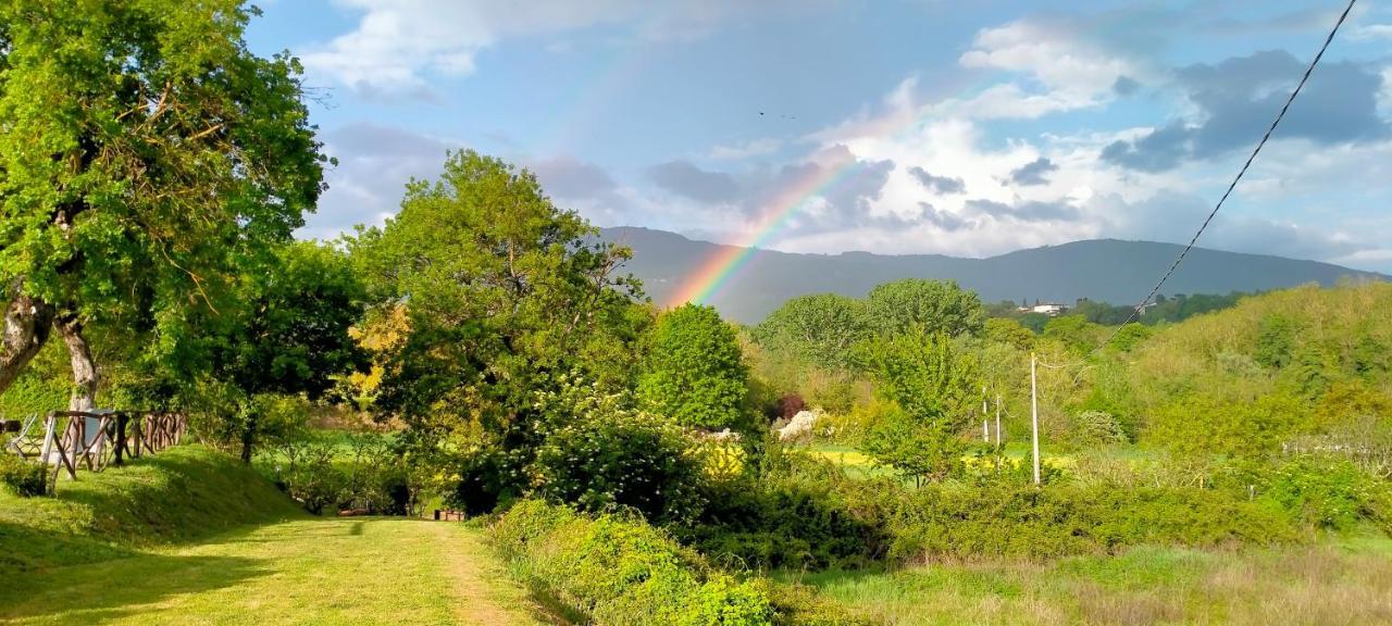 Agriturismo Lo Zolfino Penna Exterior foto
